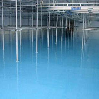 IMG_0005.jpg IMG_0005.jpg